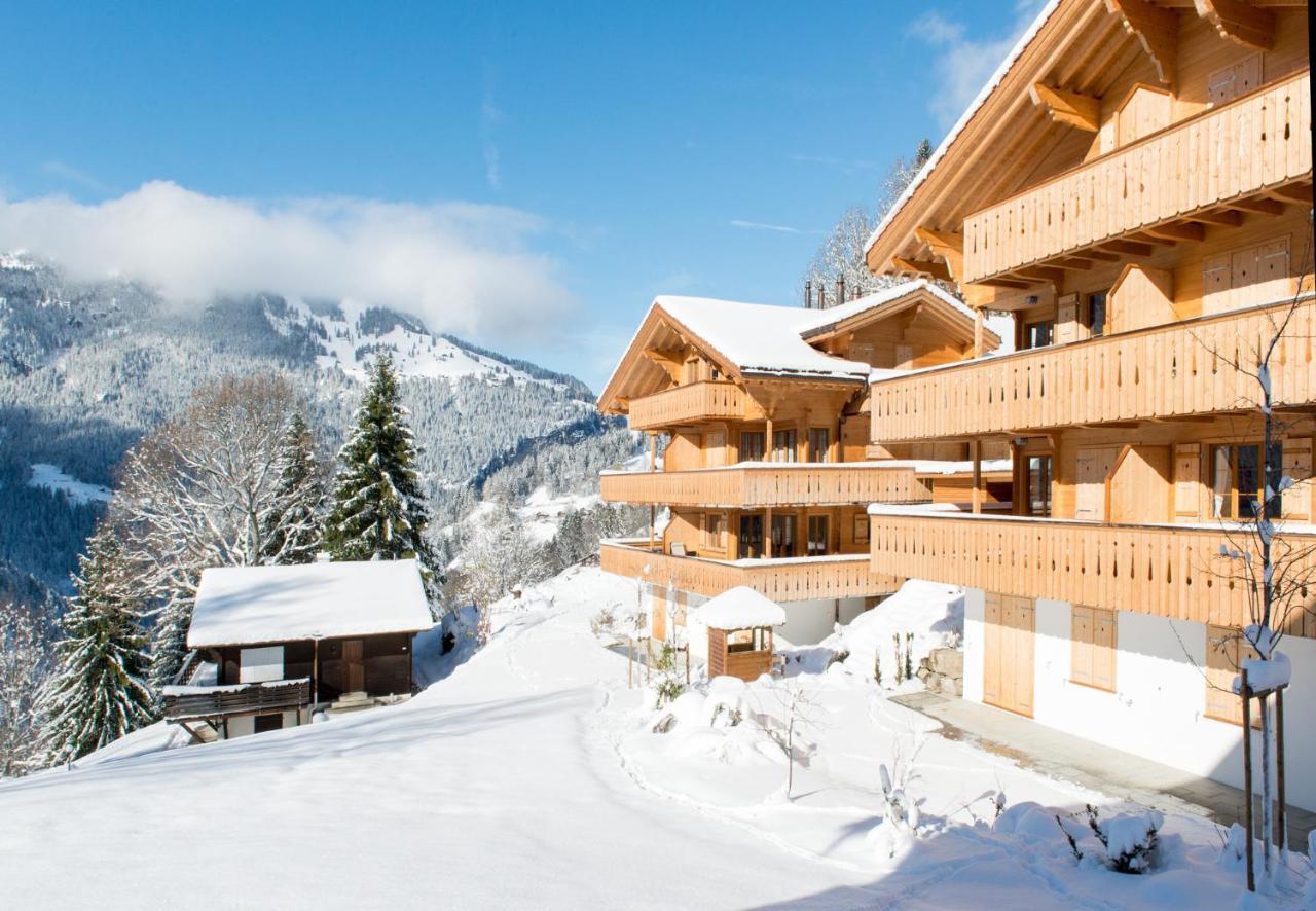 Panoramapark Soleil Chalet B Wengen Ngoại thất bức ảnh