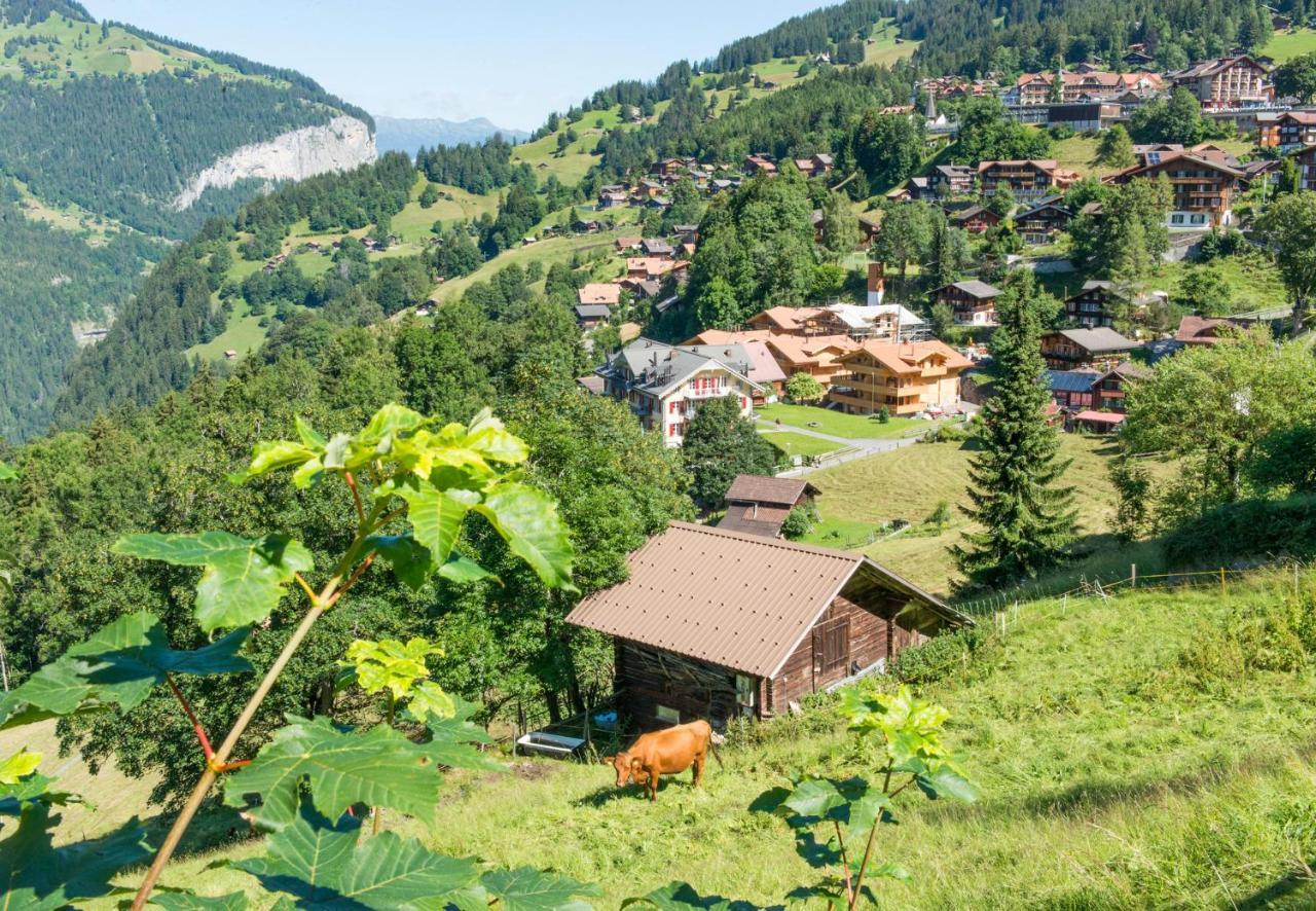 Panoramapark Soleil Chalet B Wengen Ngoại thất bức ảnh
